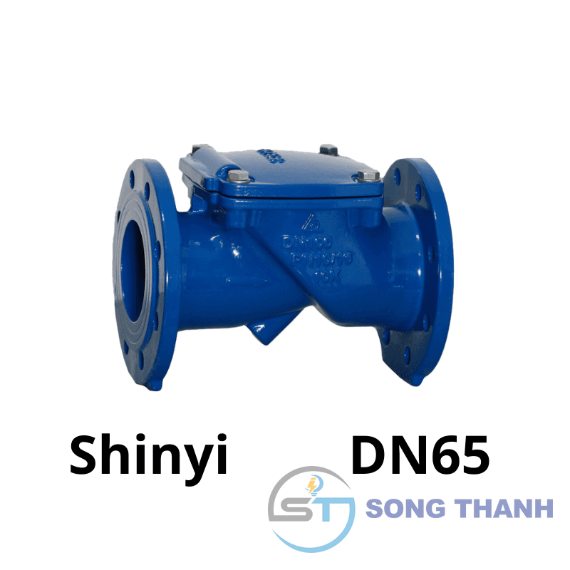 Van 1 chiều lá lật DN65