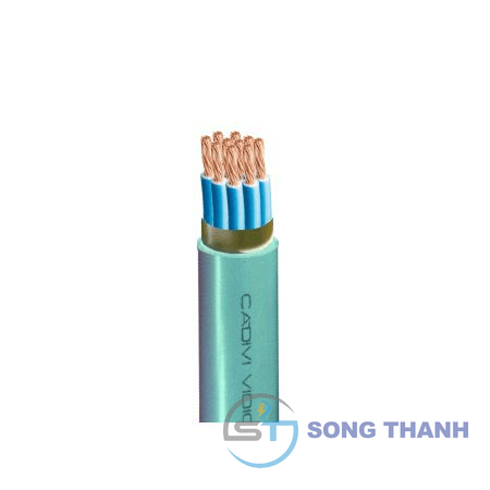 Dây cáp điều khiển Cadivi DVV/Sc-10×1 mm2 – 0.6/1kV