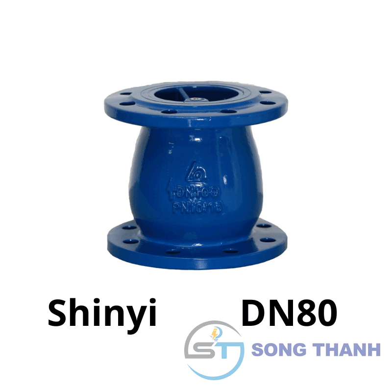 Van 1 chiều lò xo DN80