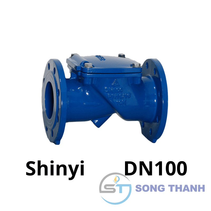 Van 1 chiều lá lật DN100