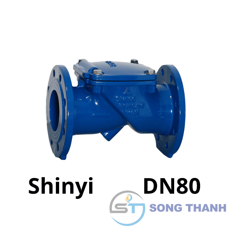 Van 1 chiều lá lật DN80