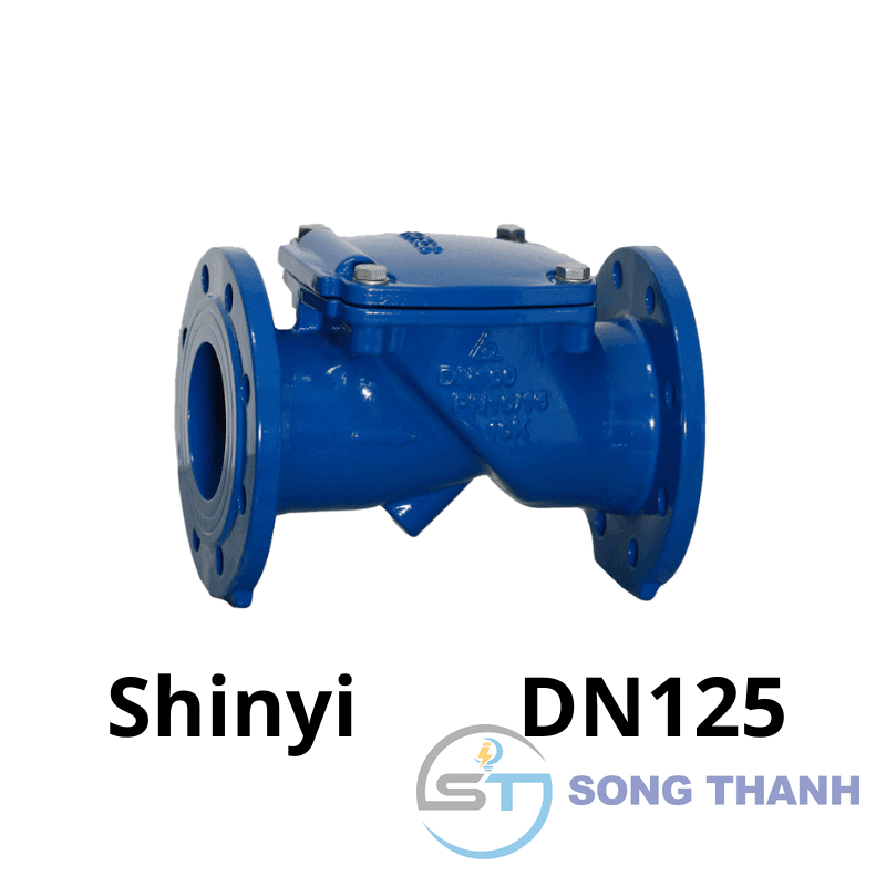 Van 1 chiều lá lật DN125