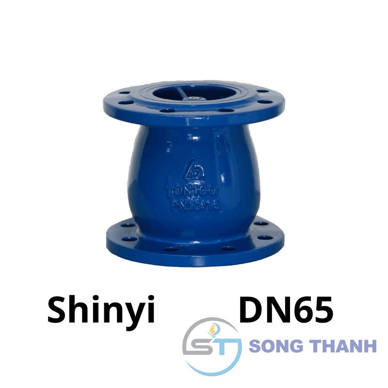 Van 1 chiều lò xo DN65