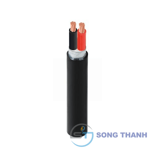 Dây cáp điện Cadivi CVV/DSTA-2×120 mm2 – 0.6/1kV