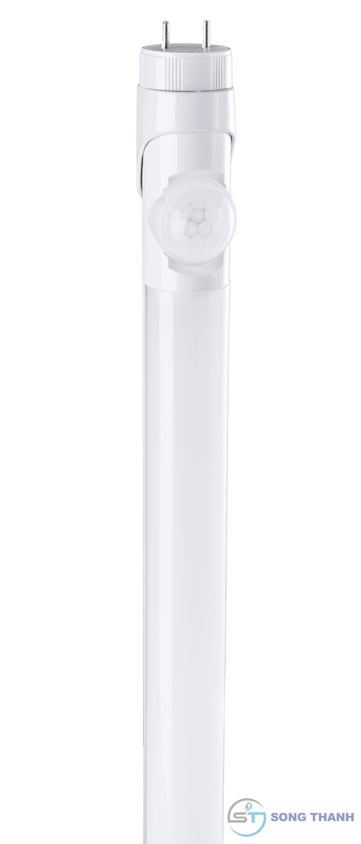 Đèn led tube T8