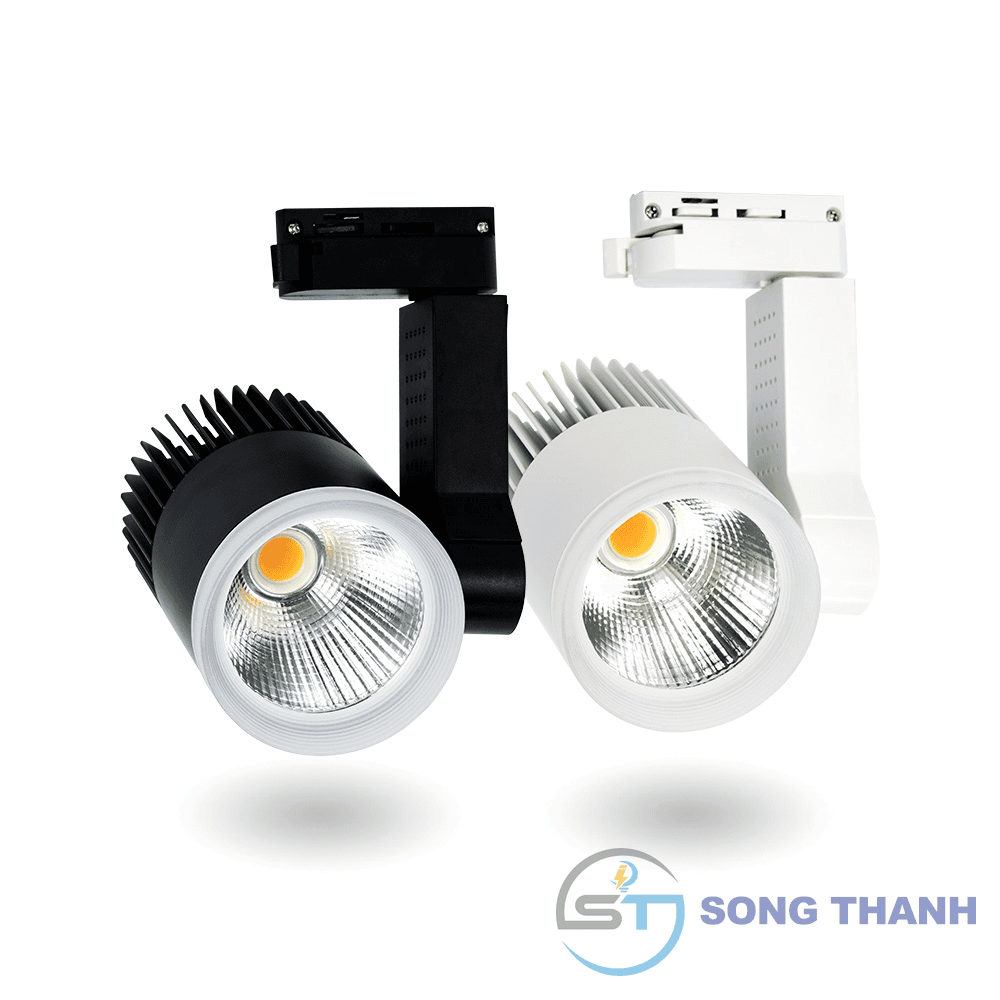 Đèn Led Rọi Ray Beryl - DTL-12SS-T-D - DTL-SS-DTL-12SS-T-D